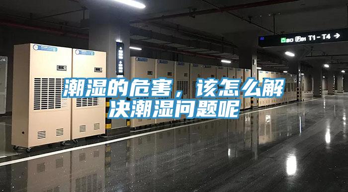 潮濕的危害，該怎么解決潮濕問題呢