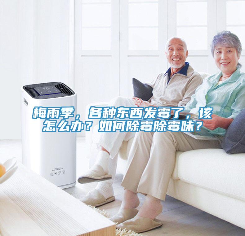 梅雨季，各種東西發(fā)霉了，該怎么辦？如何除霉除霉味？