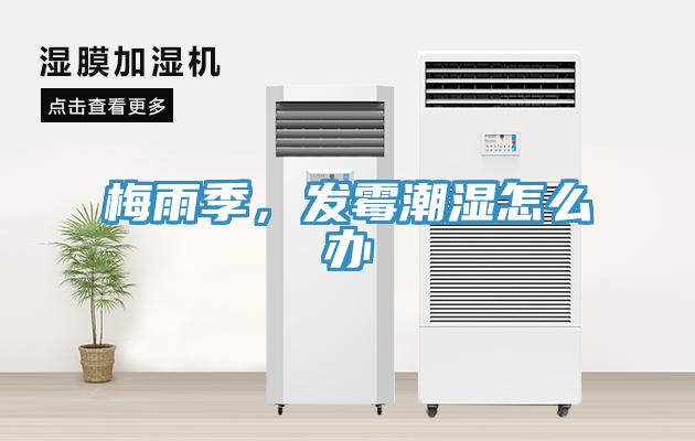 梅雨季，發(fā)霉潮濕怎么辦