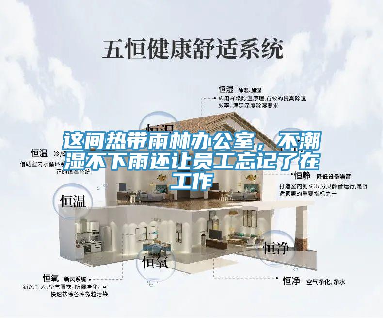 這間熱帶雨林辦公室，不潮濕不下雨還讓員工忘記了在工作