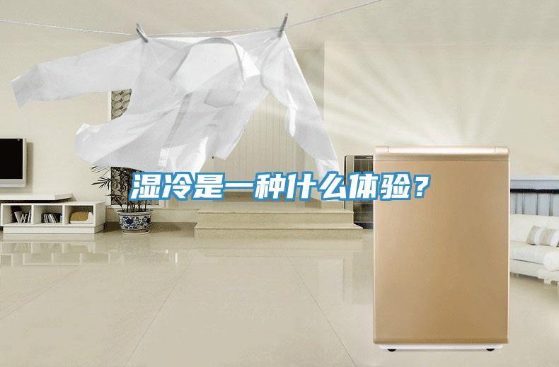 濕冷是一種什么體驗(yàn)？