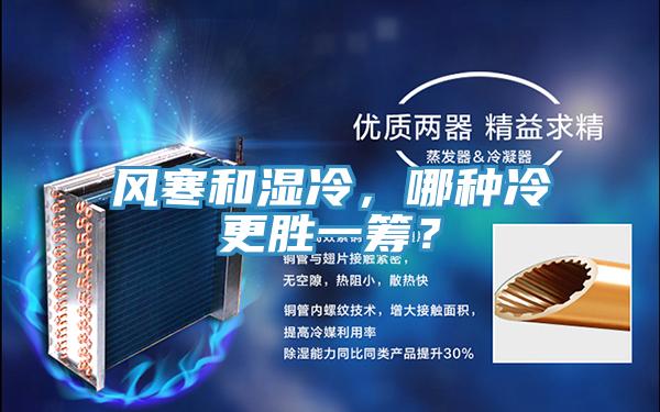 風(fēng)寒和濕冷，哪種冷更勝一籌？