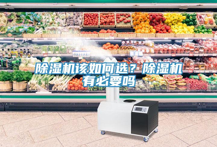 除濕機(jī)該如何選？除濕機(jī)有必要嗎