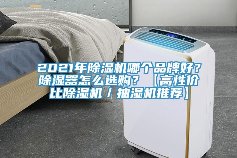 2021年除濕機(jī)哪個(gè)品牌好？除濕器怎么選購(gòu)？【高性價(jià)比除濕機(jī)／抽濕機(jī)推薦】