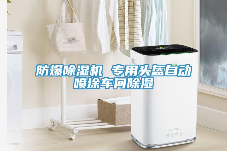 防爆除濕機(jī) 專(zhuān)用頭盔自動(dòng)噴涂車(chē)間除濕