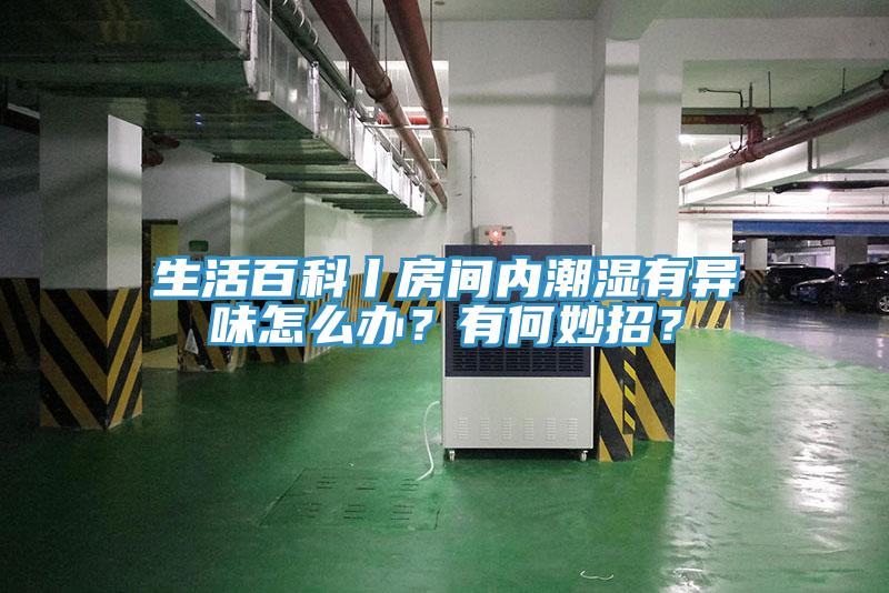 生活百科丨房間內(nèi)潮濕有異味怎么辦？有何妙招？