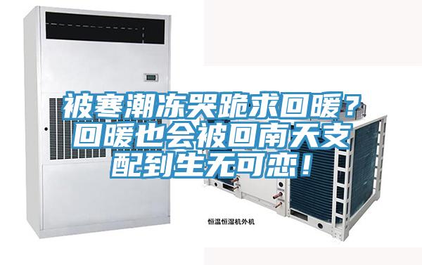 被寒潮凍哭跪求回暖？回暖也會(huì)被回南天支配到生無可戀！