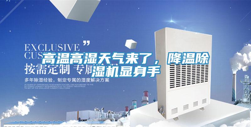 高溫高濕天氣來了，降溫除濕機顯身手
