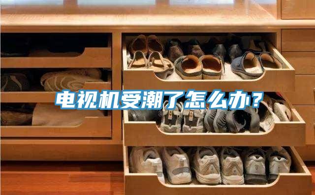 電視機(jī)受潮了怎么辦？