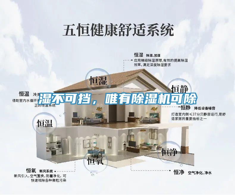濕不可擋，唯有除濕機可除