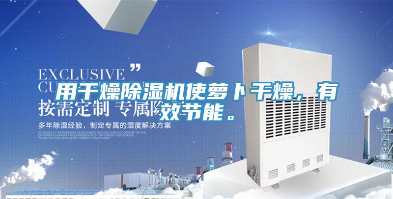 用干燥除濕機使蘿卜干燥，有效節(jié)能。