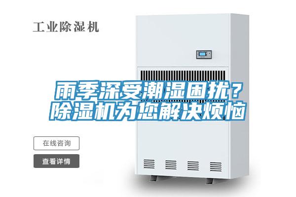 雨季深受潮濕困擾？除濕機為您解決煩惱