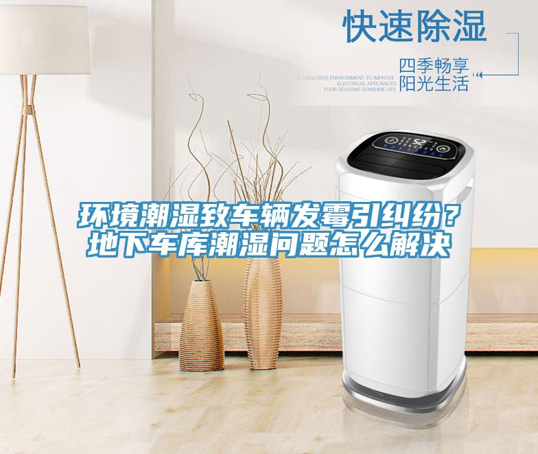 環(huán)境潮濕致車輛發(fā)霉引糾紛？地下車庫(kù)潮濕問題怎么解決