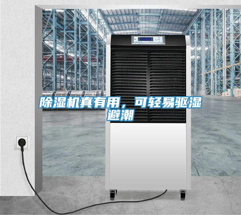 除濕機真有用，可輕易驅(qū)濕避潮