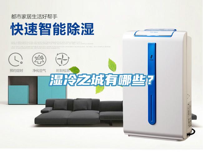 濕冷之城有哪些？