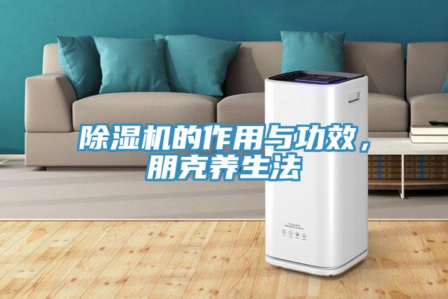 除濕機(jī)的作用與功效，朋克養(yǎng)生法