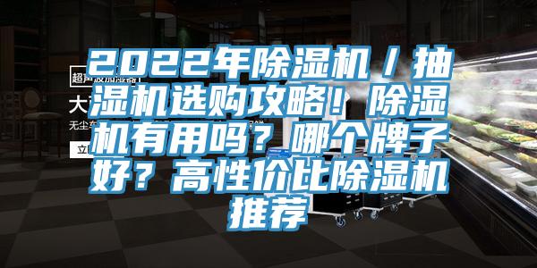 2022年除濕機／抽濕機選購攻略！除濕機有用嗎？哪個牌子好？高性價比除濕機推薦