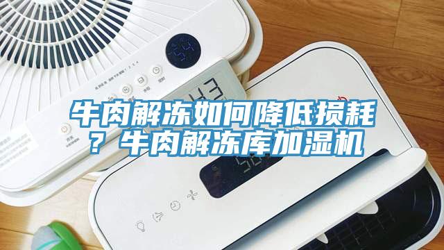 牛肉解凍如何降低損耗？牛肉解凍庫(kù)加濕機(jī)
