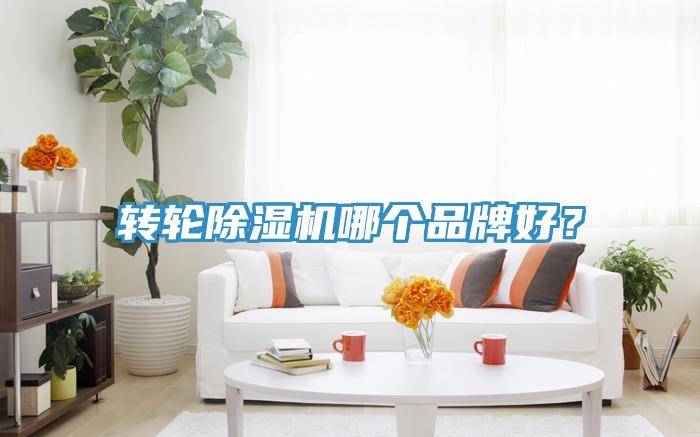 轉輪除濕機哪個品牌好？