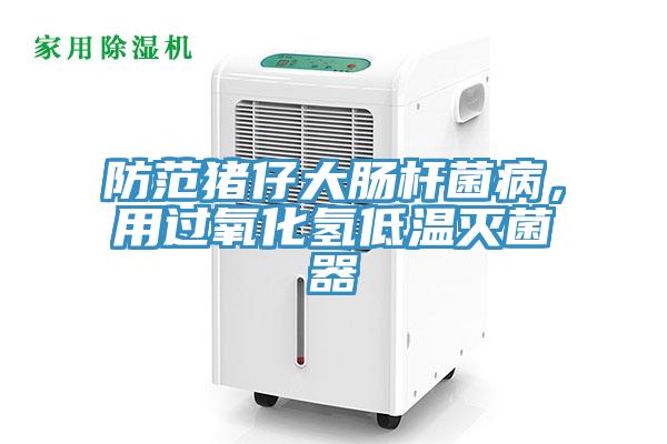 防范豬仔大腸桿菌病，用過氧化氫低溫滅菌器