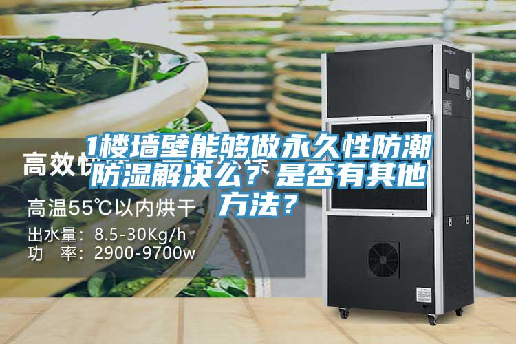 1樓墻壁能夠做永久性防潮防濕解決么？是否有其他方法？
