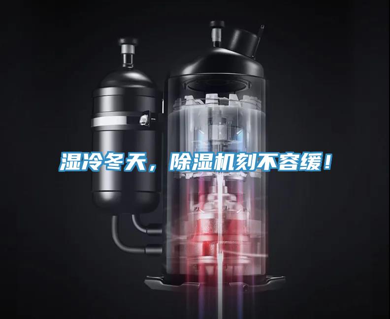濕冷冬天，除濕機刻不容緩！