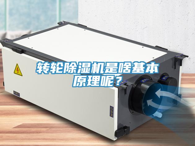 轉(zhuǎn)輪除濕機(jī)是啥基本原理呢？