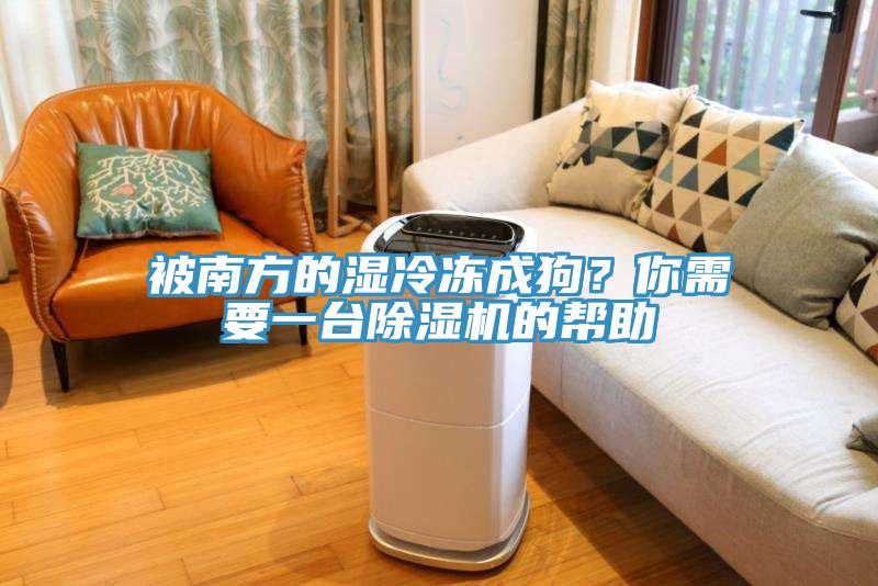 被南方的濕冷凍成狗？你需要一臺(tái)除濕機(jī)的幫助
