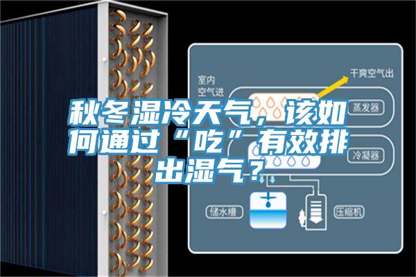 秋冬濕冷天氣，該如何通過“吃”有效排出濕氣？