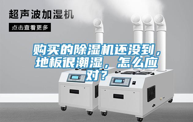 購(gòu)買(mǎi)的除濕機(jī)還沒(méi)到，地板很潮濕，怎么應(yīng)對(duì)？