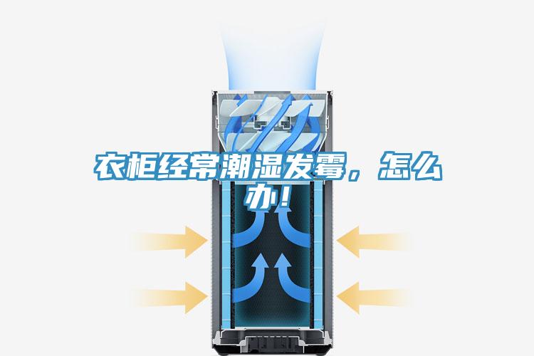 衣柜經(jīng)常潮濕發(fā)霉，怎么辦！