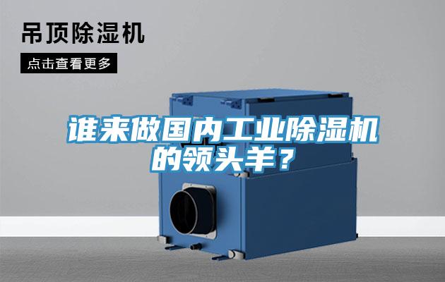 誰(shuí)來(lái)做國(guó)內(nèi)工業(yè)除濕機(jī)的領(lǐng)頭羊？