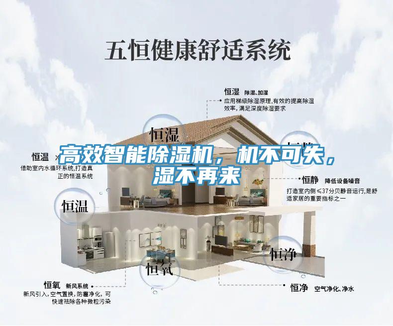 高效智能除濕機，機不可失，濕不再來