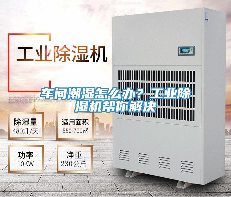 車(chē)間潮濕怎么辦？工業(yè)除濕機(jī)幫你解決