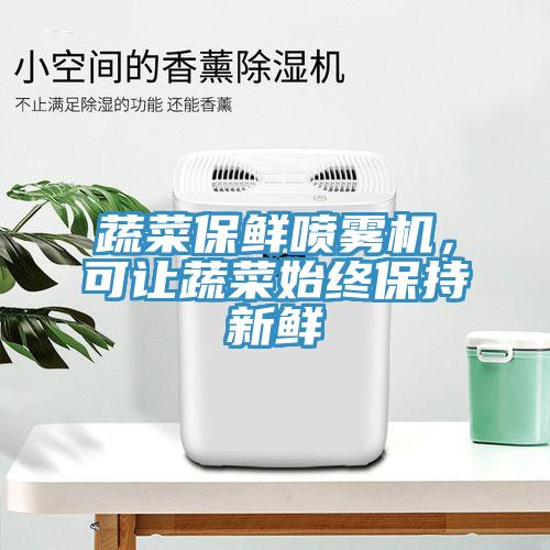 蔬菜保鮮噴霧機，可讓蔬菜始終保持新鮮