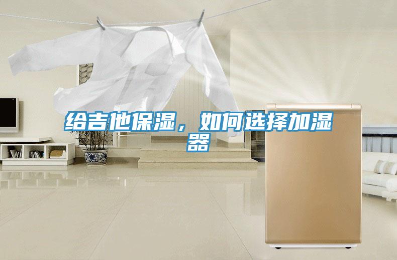 給吉他保濕，如何選擇加濕器