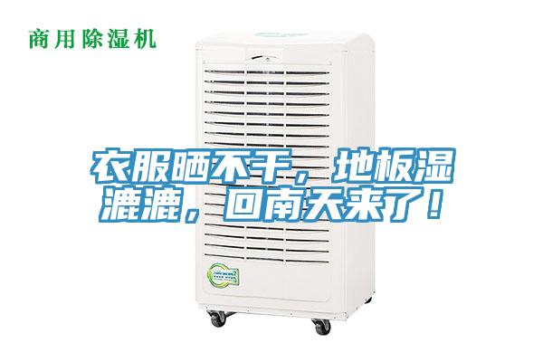 衣服曬不干，地板濕漉漉，回南天來(lái)了！