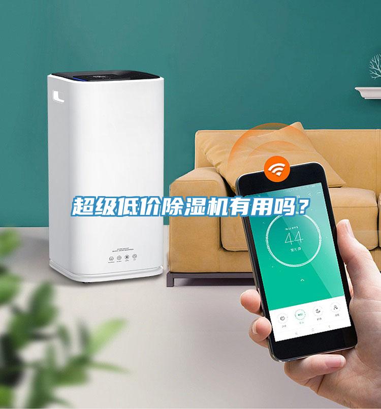 超級(jí)低價(jià)除濕機(jī)有用嗎？