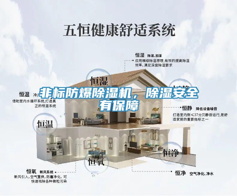 非標防爆除濕機，除濕安全有保障