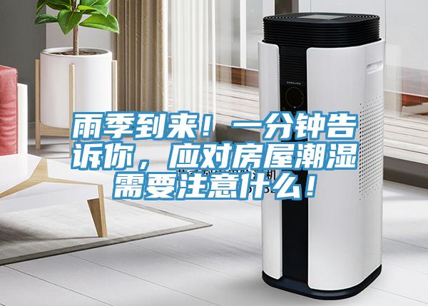 雨季到來(lái)！一分鐘告訴你，應(yīng)對(duì)房屋潮濕需要注意什么！