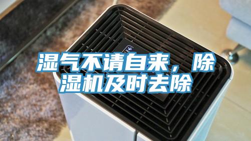 濕氣不請(qǐng)自來(lái)，除濕機(jī)及時(shí)去除