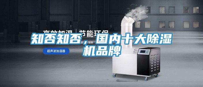 知否知否，國內(nèi)十大除濕機品牌