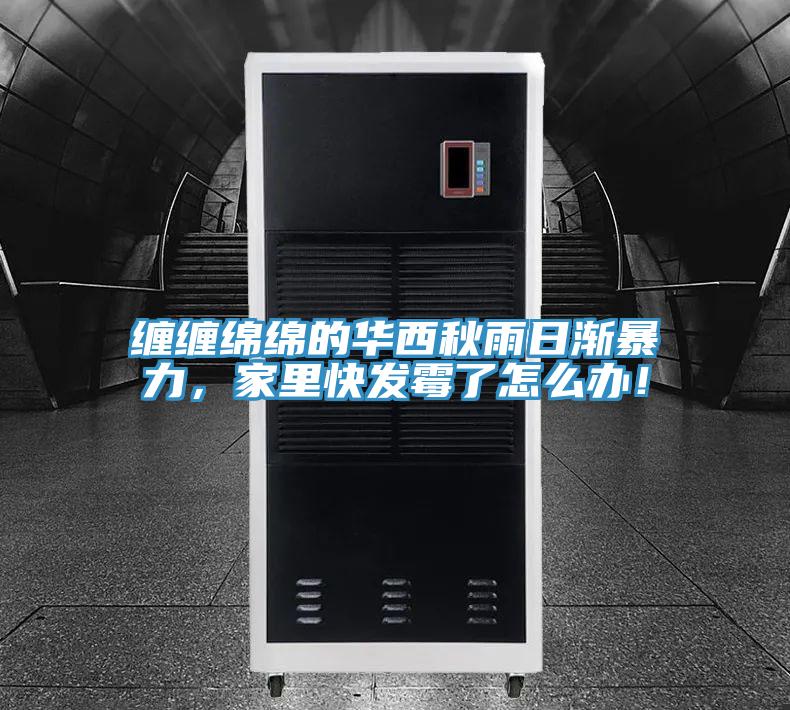 纏纏綿綿的華西秋雨日漸暴力，家里快發(fā)霉了怎么辦！
