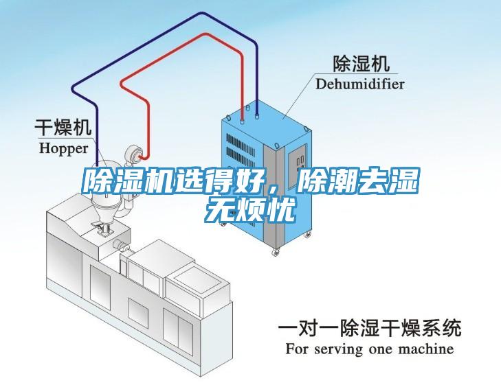 除濕機選得好，除潮去濕無煩憂