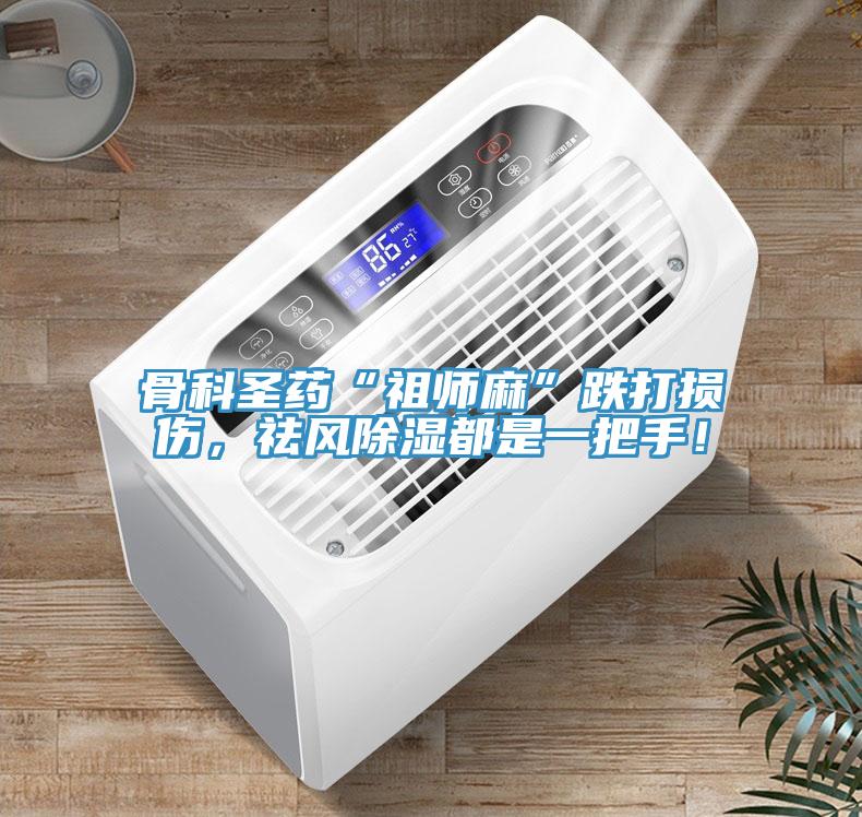 骨科圣藥“祖師麻”跌打損傷，祛風(fēng)除濕都是一把手！