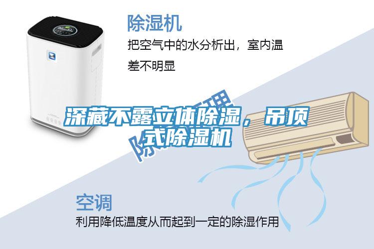深藏不露立體除濕，吊頂式除濕機(jī)