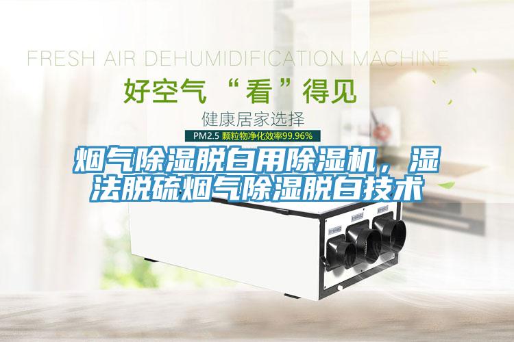 煙氣除濕脫白用除濕機(jī)，濕法脫硫煙氣除濕脫白技術(shù)
