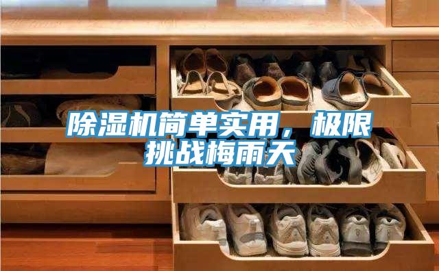 除濕機(jī)簡(jiǎn)單實(shí)用，極限挑戰(zhàn)梅雨天