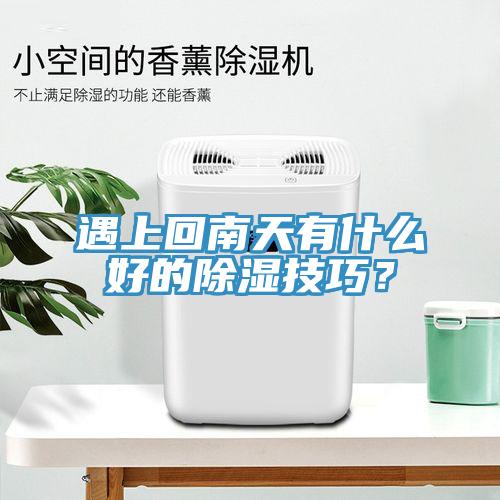 遇上回南天有什么好的除濕技巧？