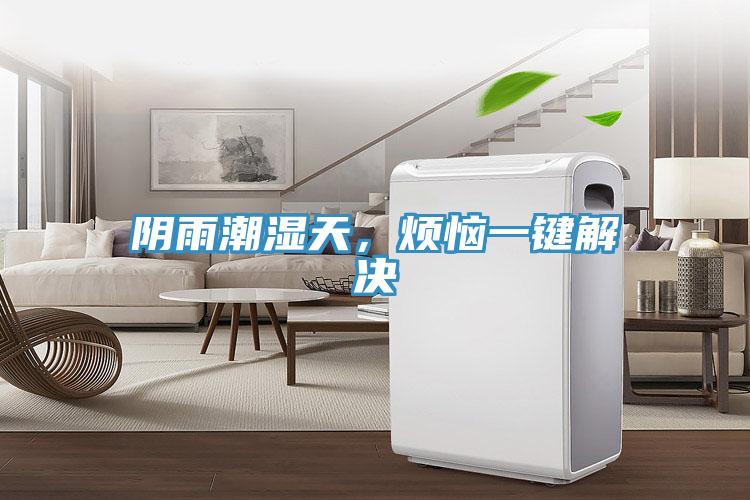 陰雨潮濕天，煩惱一鍵解決